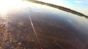 ПОТРЯСАЮЩАЯ РЫБАЛКА и ОТДЫХ С ЖЕНОЙ на ЕНИСЕЕ! ЛОВЛЯ ХАРИУСА РАННИМ УТРОМ! ПОКЛЕВКА ХАРИУСА!