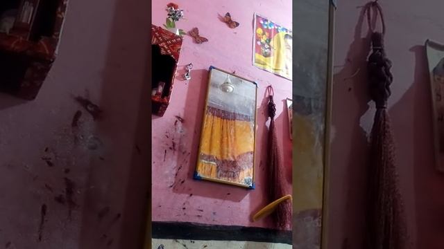 tango app kese band hua or wapas kese chalayn смотреть онлайн