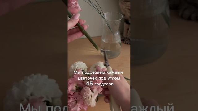 Как увеличить стойкость цветов всего за 3 шага ? смотреть онлайн