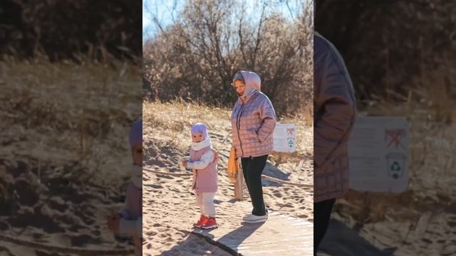 Заказник западный Котлин. Алиса , выходные в Кронштадте. #family #familyvlog #fun смотреть онлайн