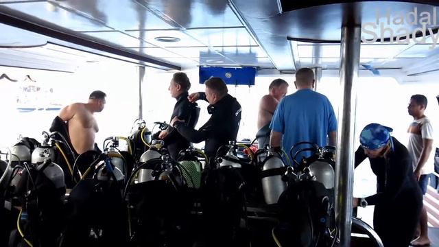 Сафари: Дальний юг Красного моря, май 2018 смотреть онлайн