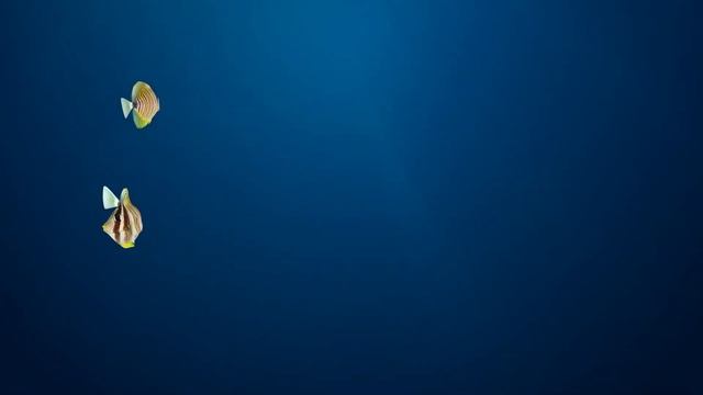? Cat Games - ? Catching Tropical fish (Video for Cats to watch) 4K смотреть онлайн