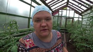 Ревень. Как его использовать