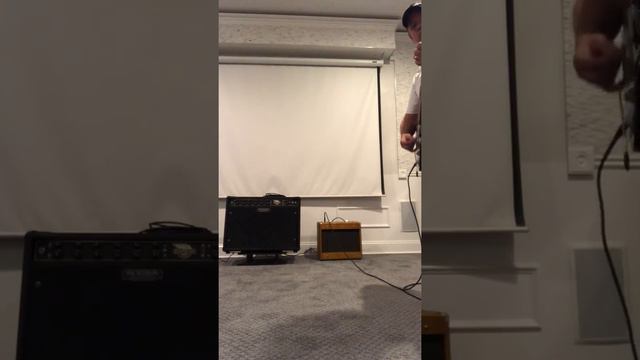 Fender Champion 20 Tweed смотреть онлайн