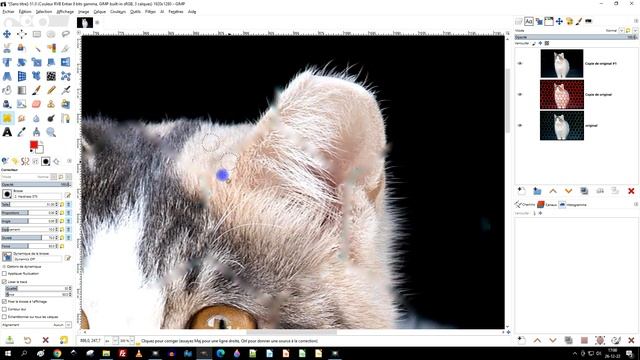 utilisation du filtre G'MIC Inpaint morphological dans GIMP pour supprimer un grillage смотреть онлайн