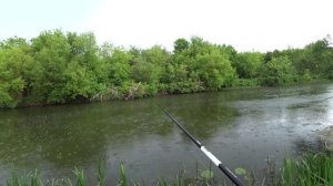 ВЫ ПОСМОТРИТЕ КАК ОНА ПРЁТ! Огромная щука и судак на спиннинг! Рыбалка на спиннинг!