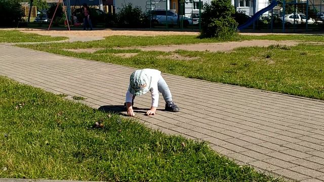Ильюшка на субботней утренней прогулке смотреть онлайн