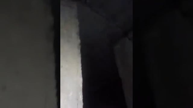 в подвале увидили свет смотреть онлайн