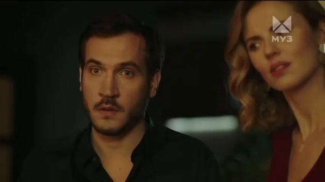 Новогодняя реклама Sheba 2021-2022 смотреть онлайн