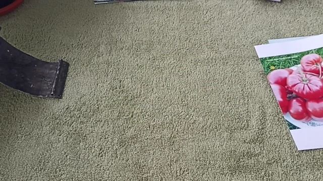 Лучшие сорта томатов из серии Томатные гномы. Часть 4. смотреть онлайн