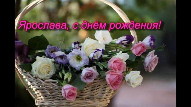 Ярослава, с днём рождения! смотреть онлайн