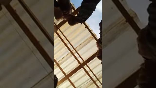 Marranzano Rhapsody смотреть онлайн