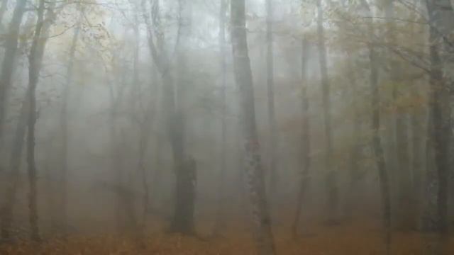 324 секунды тишины смотреть онлайн