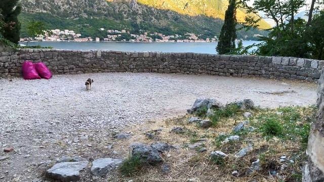 ONE DAY IN MONTENEGRO (Exploring KOTOR + PERAST) смотреть онлайн