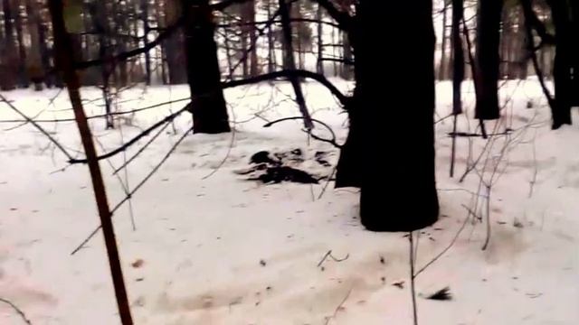 Коп№7. Хороший коп в лесу. смотреть онлайн