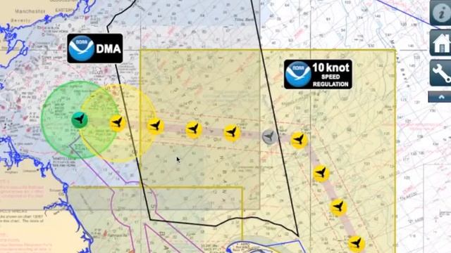 WhaleAlert Intro смотреть онлайн