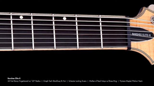 Schecter Banshee Elite Series Overview смотреть онлайн