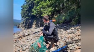 Ловля гребешка, устриц и трепанга на острове Русский.