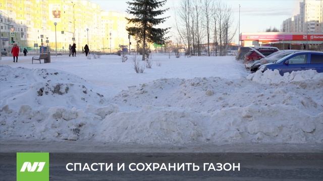 СПАСТИ И СОХРАНИТЬ ГАЗОН смотреть онлайн