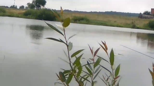 Рыбалка на реке Сетунь смотреть онлайн