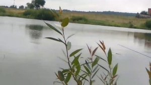 Рыбалка на реке Сетунь