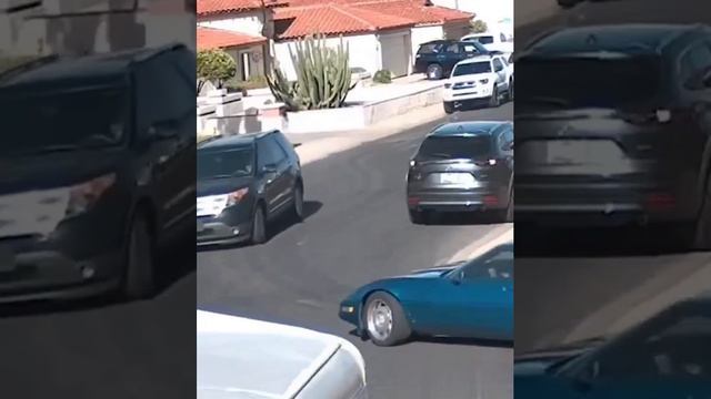 Смешные Видео