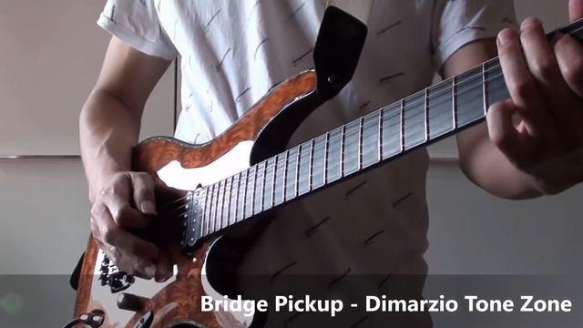 Can you hear a difference? Ibanez S Series - Iron Label vs S770PB смотреть онлайн
