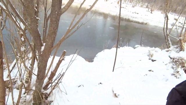 На экраны , за живцами. Что за рыба ? смотреть онлайн