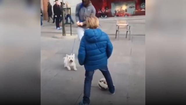 Когда Незнакомец Снял Парик, Прохожие Завопили от Восторга смотреть онлайн