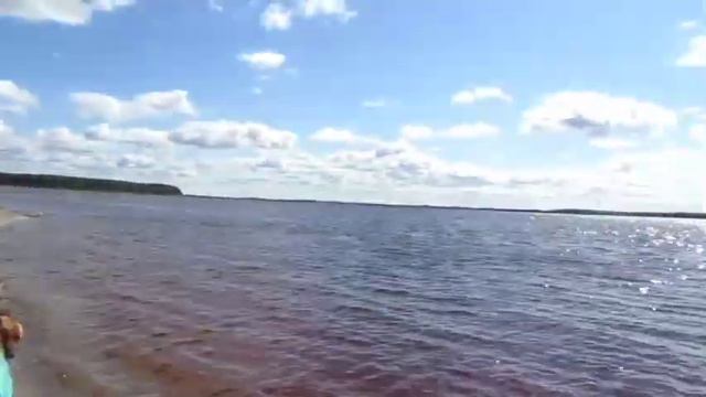 Собираем землянику с мамой и братом, прогулка с собакой Мэри по берегу реки Обь смотреть онлайн