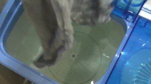 Стиральная машина Renova WS-40 PET Стирка новых полотенец