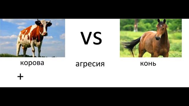 конь против коровы смотреть онлайн