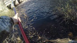 рыбалка на хариуса / весений хариус