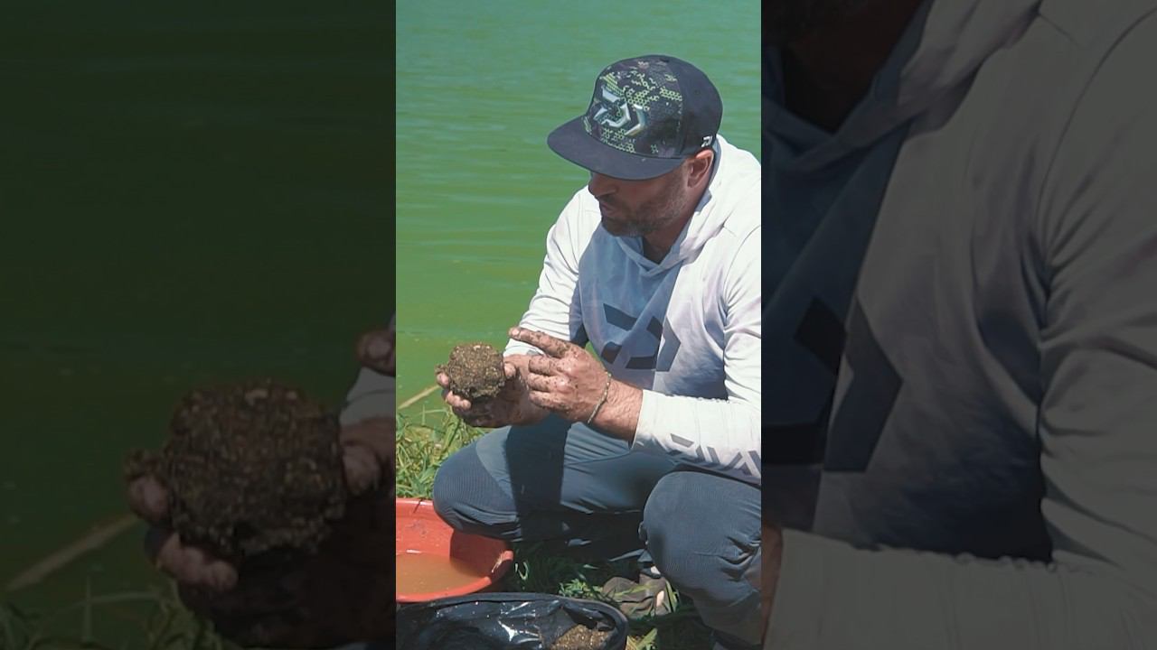 Сисек нет! :) смотреть онлайн