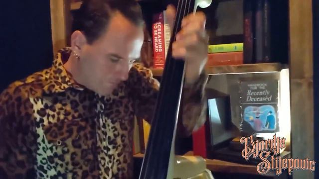 BEETLEJUICE Theme Song (Upright Slap Bass Cover) by Danny Elfman - Djordje Stijepovic смотреть онлайн