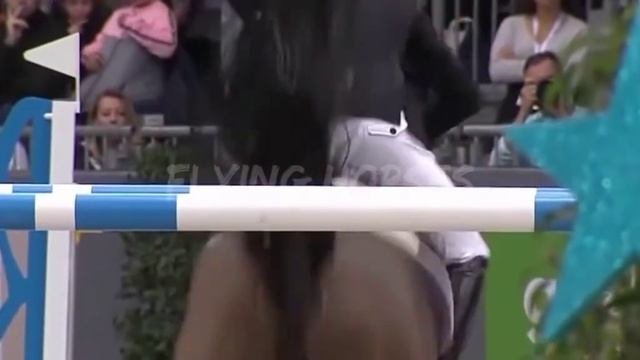 клип про лошадей смотреть онлайн