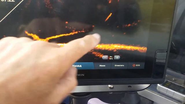 Livescope Рыбка у коряги... смотреть онлайн