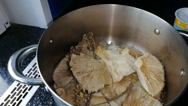 Вегетарианские Рестораны