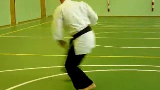 Технические ката в каратэ кай до джитсу -2 смотреть онлайн