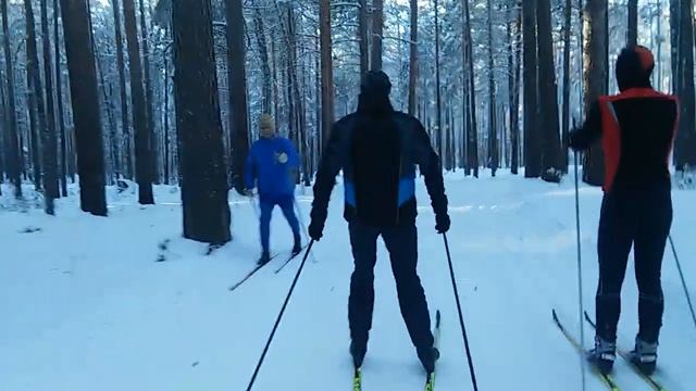 Tisa Top Skating прокат без палок при -14°C смотреть онлайн