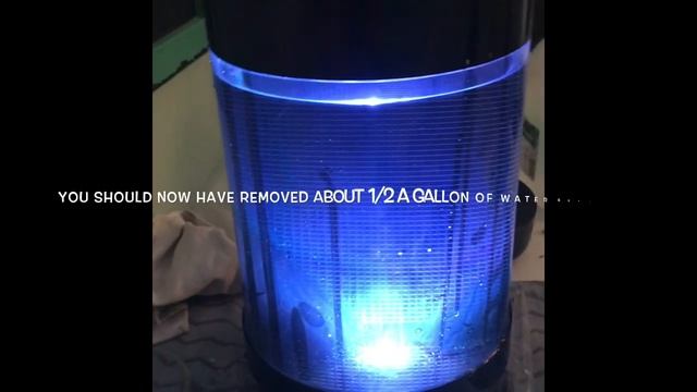 How to clean your jellyfish tank in 10 steps!!! My Jellyfish Journey! ???? смотреть онлайн