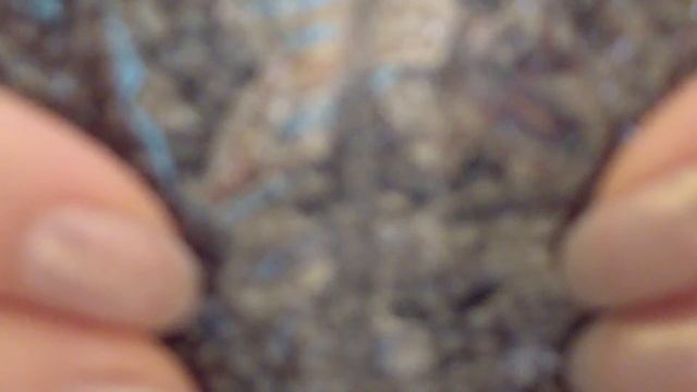 Beads for Blog Post! Un chilo di perline gratis! Grazie Preciosa Ornela! смотреть онлайн