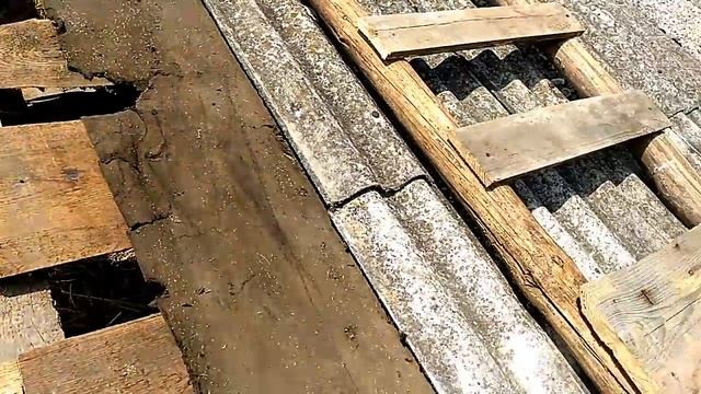 КРЫША  КУРЯТНИКА/Вырос виноград! Обзор хоз постройки и собака.... (Выпуск 3)