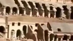 Колизей без стёкол... дрались гладиолусы... ПРИКОЛ