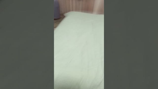 ОБЗОР НА МОЮ СОБАКУ смотреть онлайн