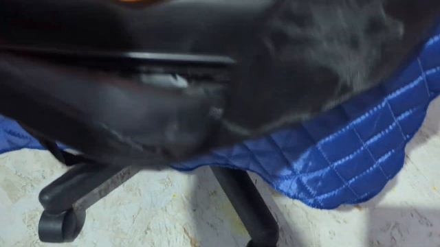 15 ноября 2023 г. смотреть онлайн