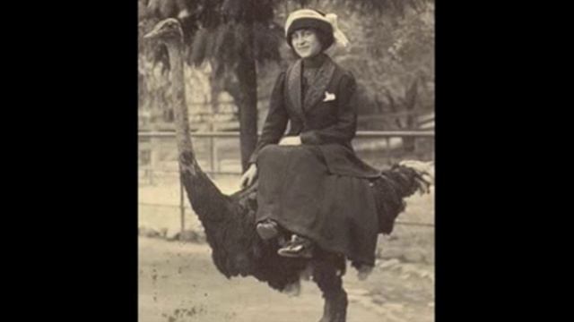 Lime Champions - South of the River Episode 5 (5/6) смотреть онлайн