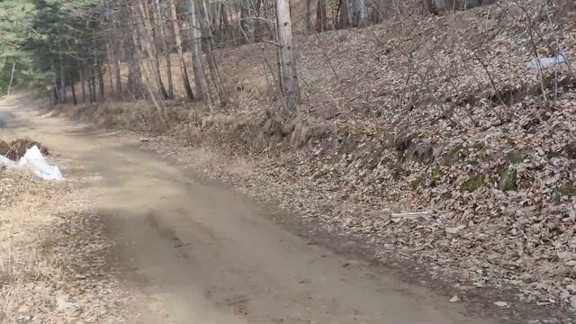 Гостям Кисловодска не смотреть смотреть онлайн