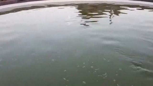 Отзыв 15.06.2019 Перекись водорода для бассейна смотреть онлайн