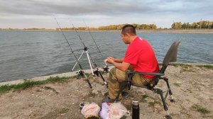 Ловля сома на червя! Болотник и выползок - поймает каждый!